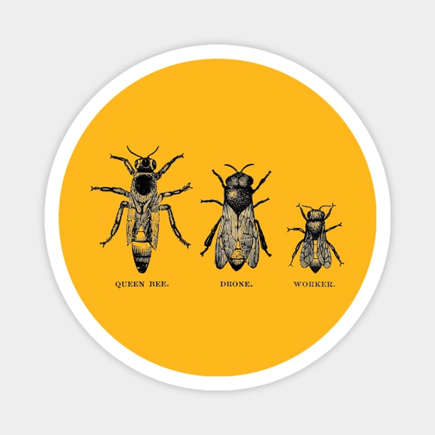 Queen Bee Family Magnet by Gestalt Imagery